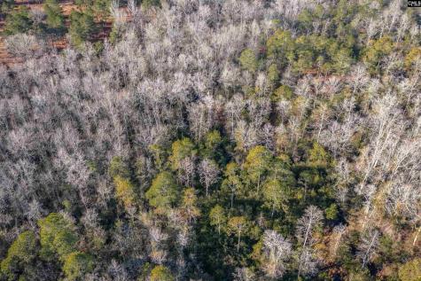 Lot 18 Hound Hollow Road Camden SC 29020
