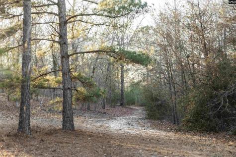 Lot 18 Hound Hollow Road Camden SC 29020