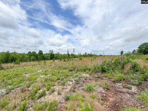 0 Neely Wingard Road Lot 7 Gilbert SC 29054