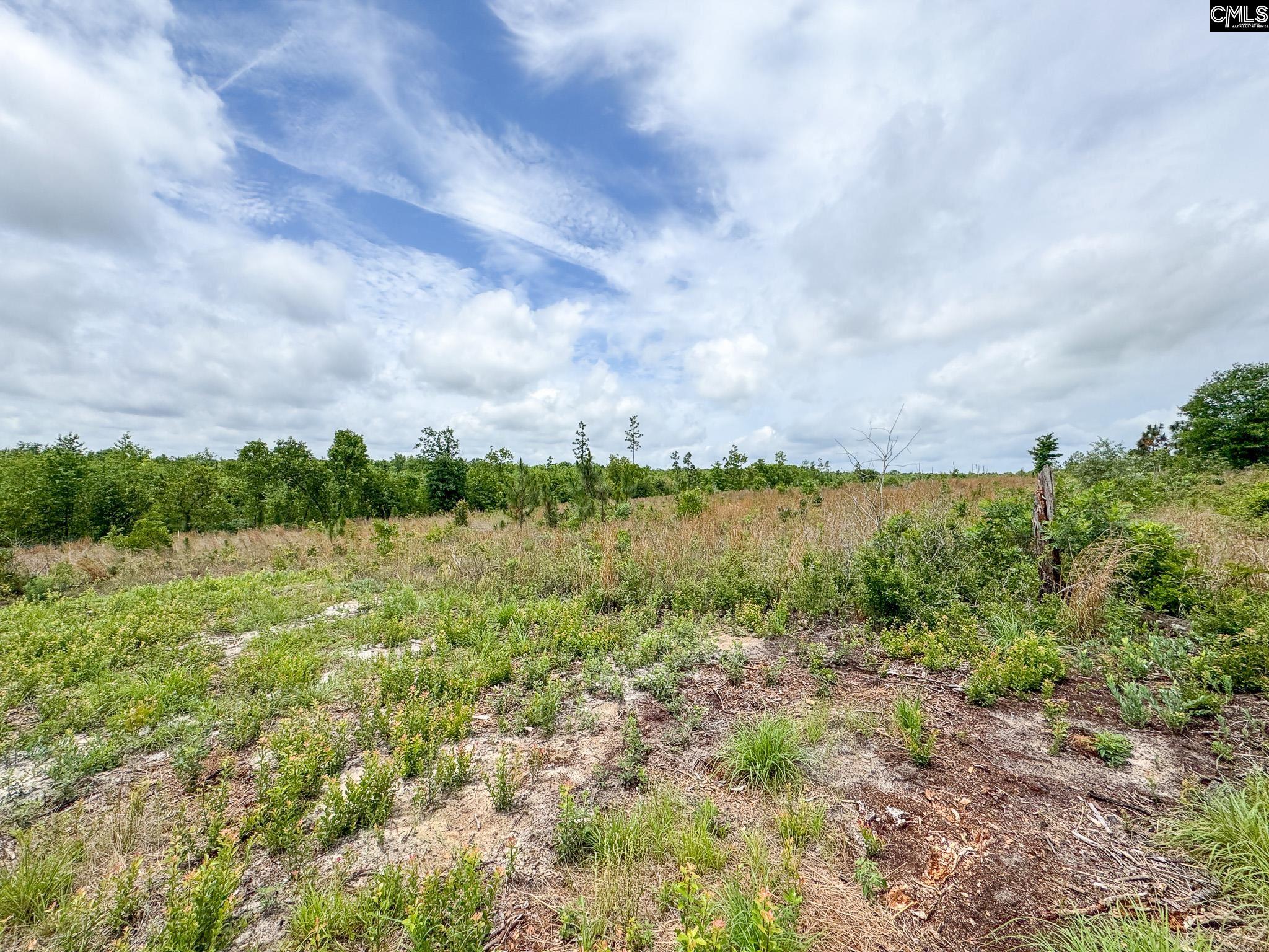 0 Neely Wingard Road Lot 7 Gilbert SC 29054