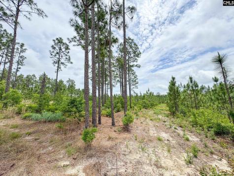0 Neely Wingard Road Lot 7 Gilbert SC 29054