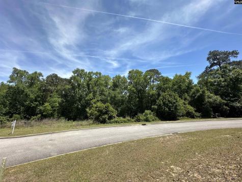 124 Mayhaw Drive Columbia SC 29206