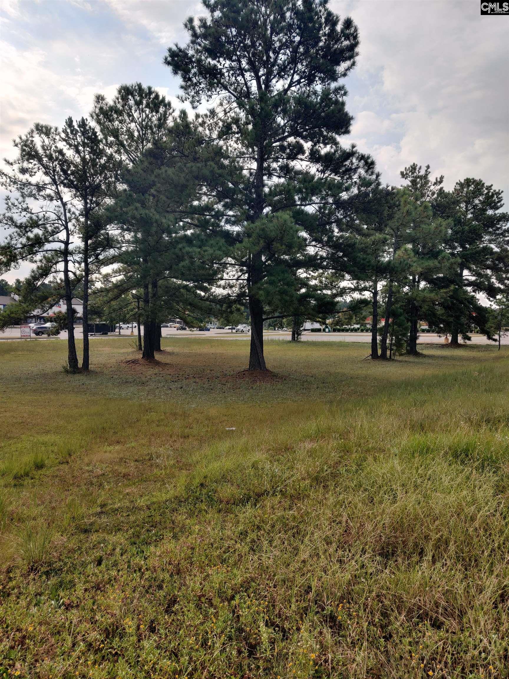 000 Frink Street Cayce SC 29033