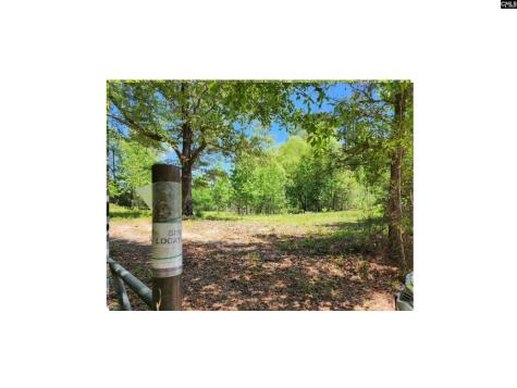 125 Meadow Lane Eastover SC 29044