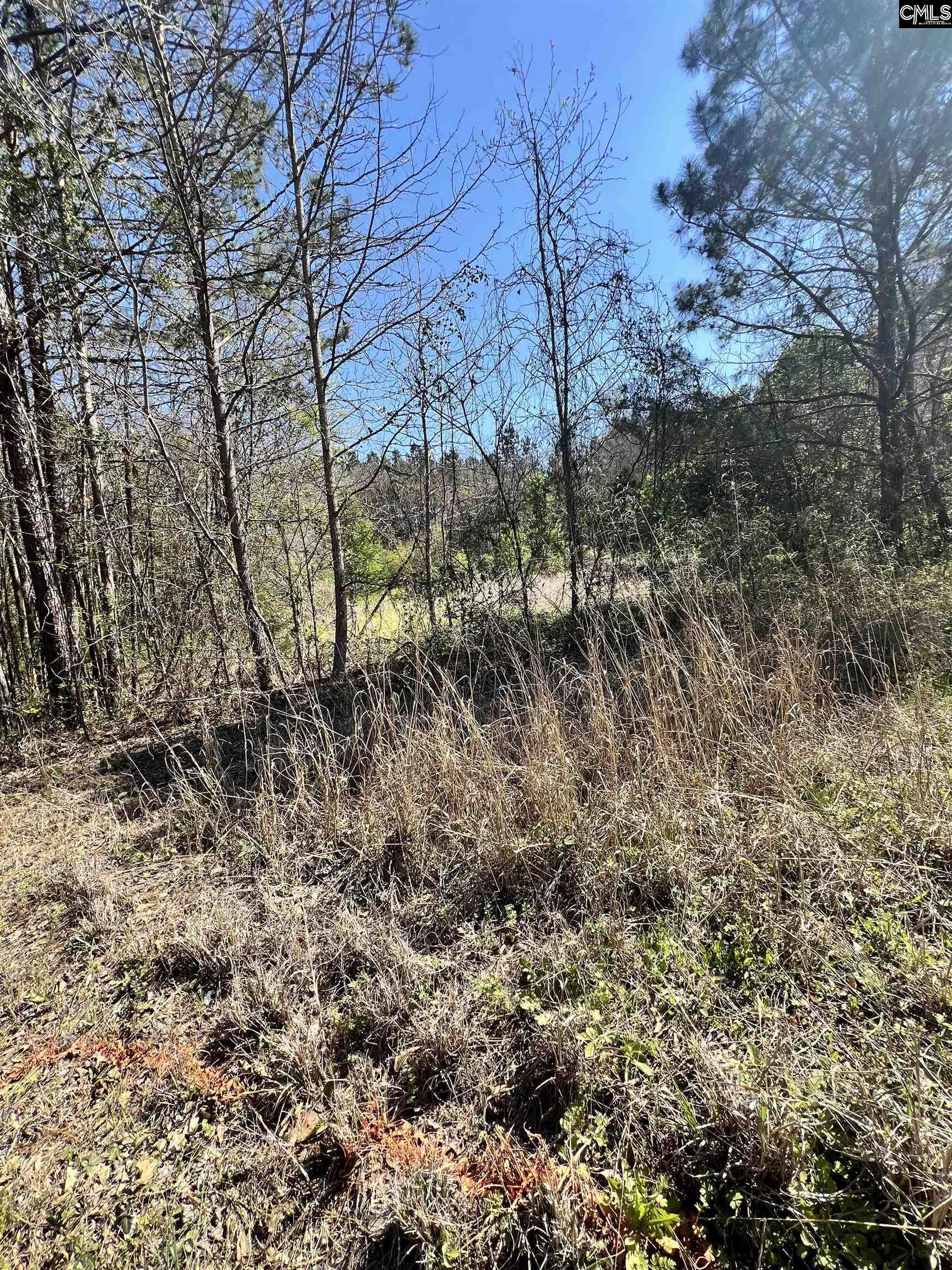 W S Wakefield Road Columbia SC 29203