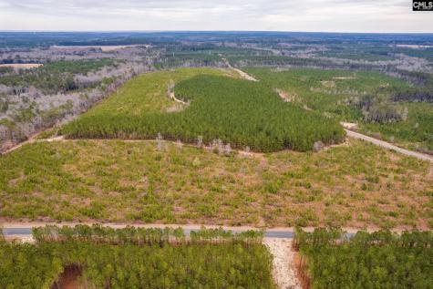 Tbd Catalina Boulevard Lot 17 Swansea SC 29160