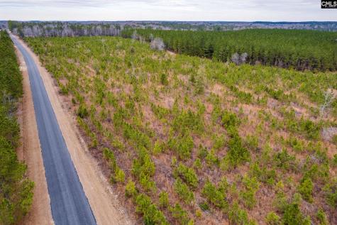 Tbd Catalina Boulevard Lot 17 Swansea SC 29160