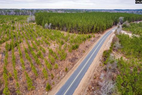 Tbd Catalina Boulevard Lot 17 Swansea SC 29160