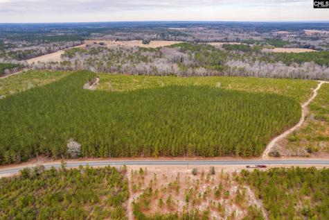 Tbd Catalina Boulevard Lot 17 Swansea SC 29160