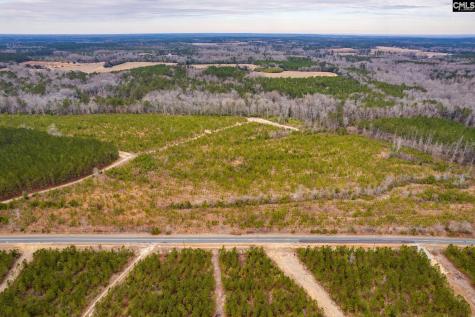 Tbd Catalina Boulevard Lot 17 Swansea SC 29160