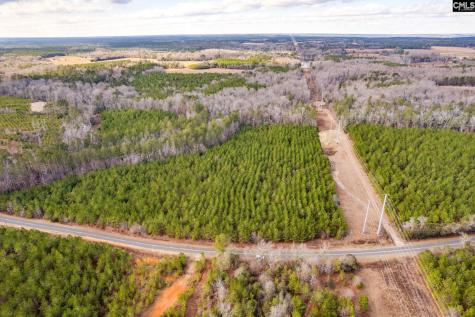 Tbd Catalina Boulevard Lot 17 Swansea SC 29160
