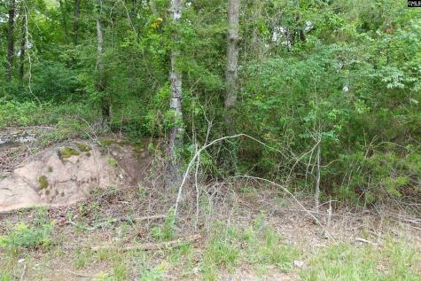 0 Highway 378 Edgefield SC 29835