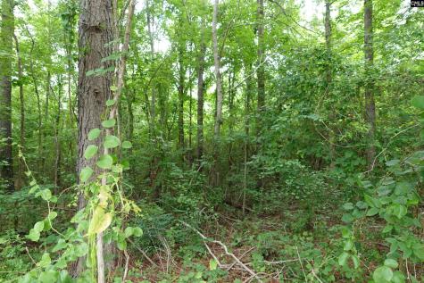 0 Highway 378 Edgefield SC 29835