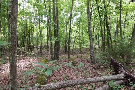 0 Highway 378 Edgefield SC 29835