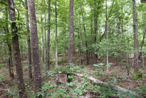 0 Highway 378 Edgefield SC 29835