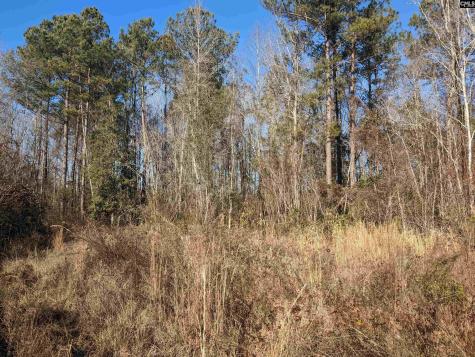 1135 Elkwood Lane Camden SC 29020