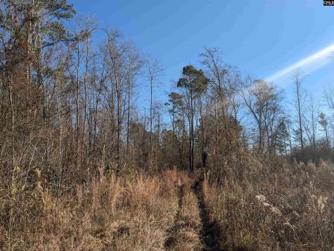 1135 Elkwood Lane Camden SC 29020