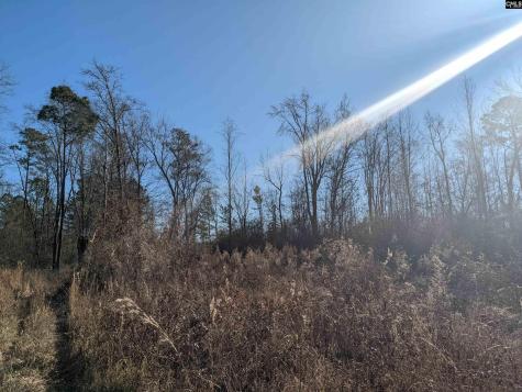 1135 Elkwood Lane Camden SC 29020