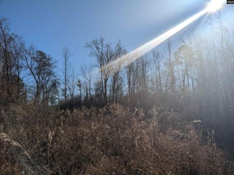 1135 Elkwood Lane Camden SC 29020