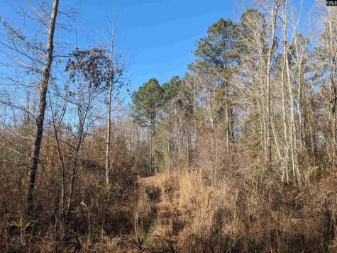 1135 Elkwood Lane Camden SC 29020