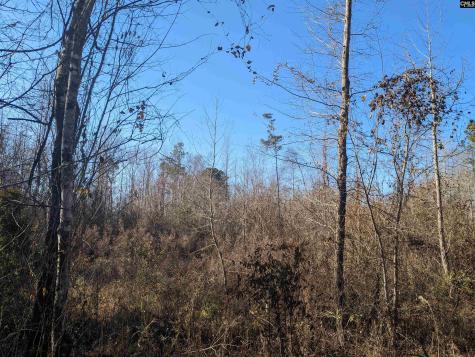 1135 Elkwood Lane Camden SC 29020