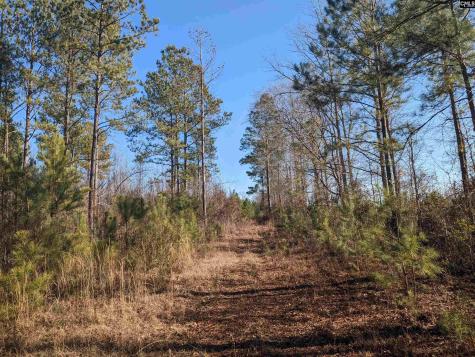 1135 Elkwood Lane Camden SC 29020