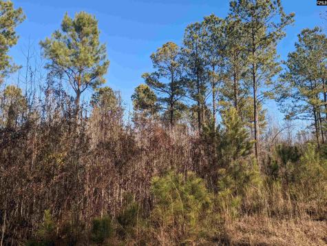 1135 Elkwood Lane Camden SC 29020