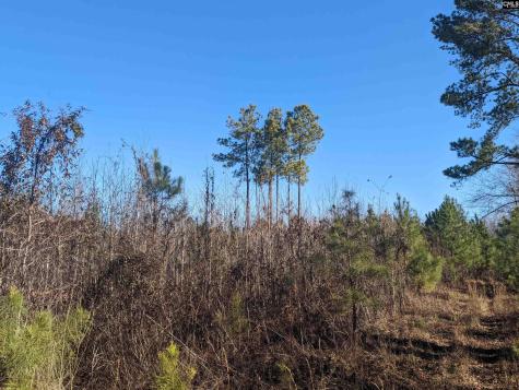 1135 Elkwood Lane Camden SC 29020