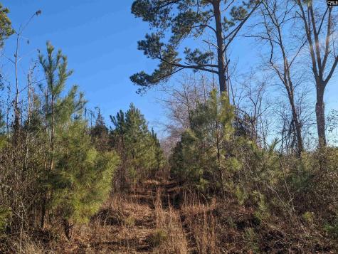 1135 Elkwood Lane Camden SC 29020