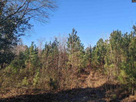 1135 Elkwood Lane Camden SC 29020