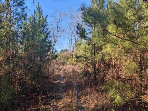 1135 Elkwood Lane Camden SC 29020