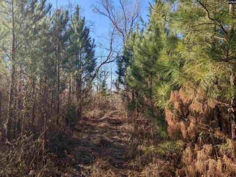 1135 Elkwood Lane Camden SC 29020