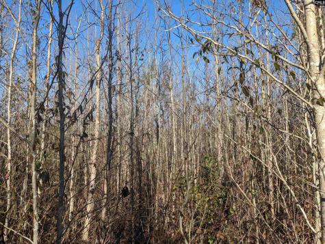 1135 Elkwood Lane Camden SC 29020