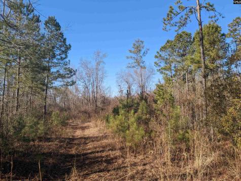 1135 Elkwood Lane Camden SC 29020