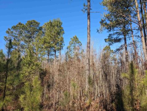 1135 Elkwood Lane Camden SC 29020