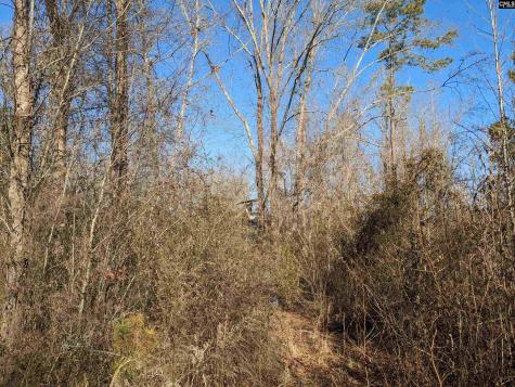 1135 Elkwood Lane Camden SC 29020