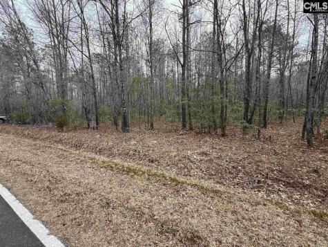 1644 Pincushion Road Columbia SC 29209