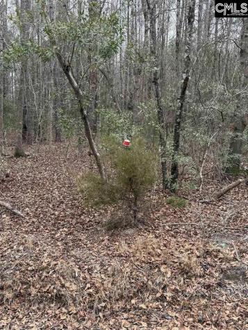 1644 Pincushion Road Columbia SC 29209