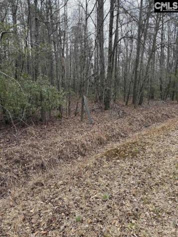 1644 Pincushion Road Columbia SC 29209
