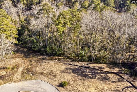 124 Mayhaw Drive Columbia SC 29206-1375