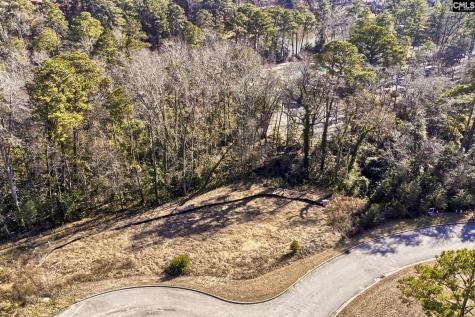 124 Mayhaw Drive Columbia SC 29206-1375