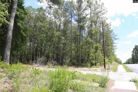 2956 Alpine Road Columbia SC 29223