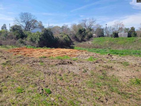 E/s Tremont Avenue Columbia SC 29203