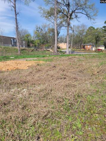 E/s Tremont Avenue Columbia SC 29203