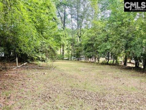 1179 Lake Drive Leesville SC 29070