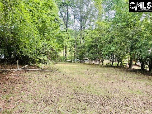 1179 Lake Drive Leesville SC 29070