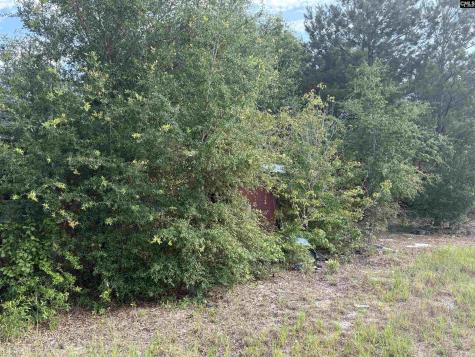 545 Flinns Road Hartsville SC 29550