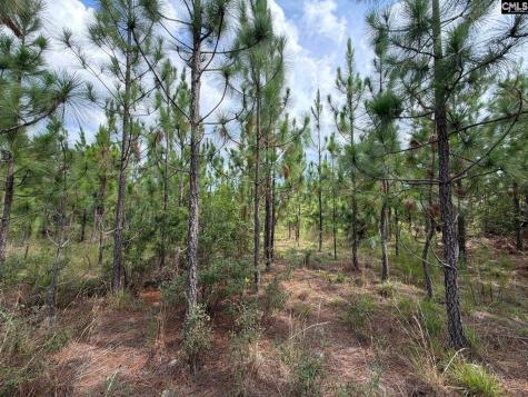 Btf 6 Bradley Trail Jefferson SC 29067