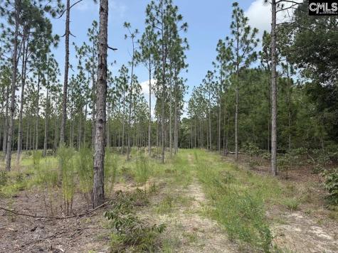 1549 Lawhorn Road Cassatt SC 29032
