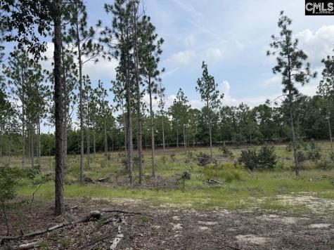 1549 Lawhorn Road Cassatt SC 29032